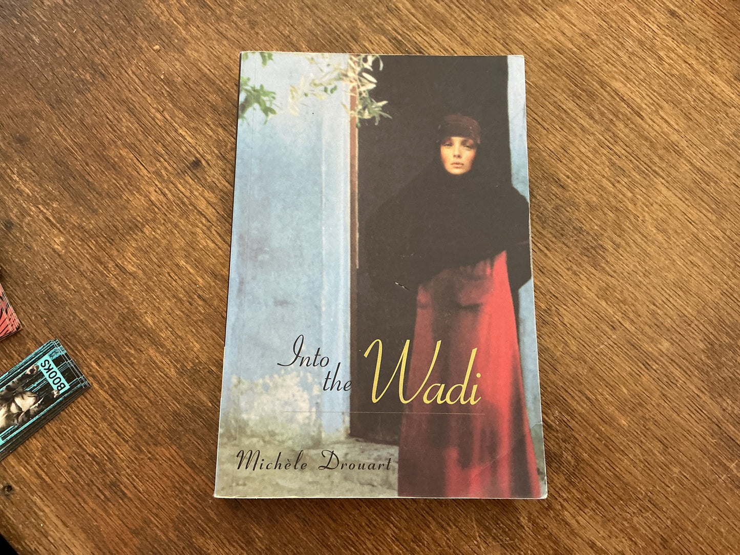 Into the Wadi by Michèle Drouart