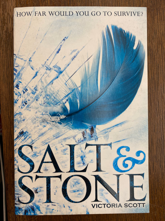 Salt & Stone (Fire & Flood) by Victoria Scott