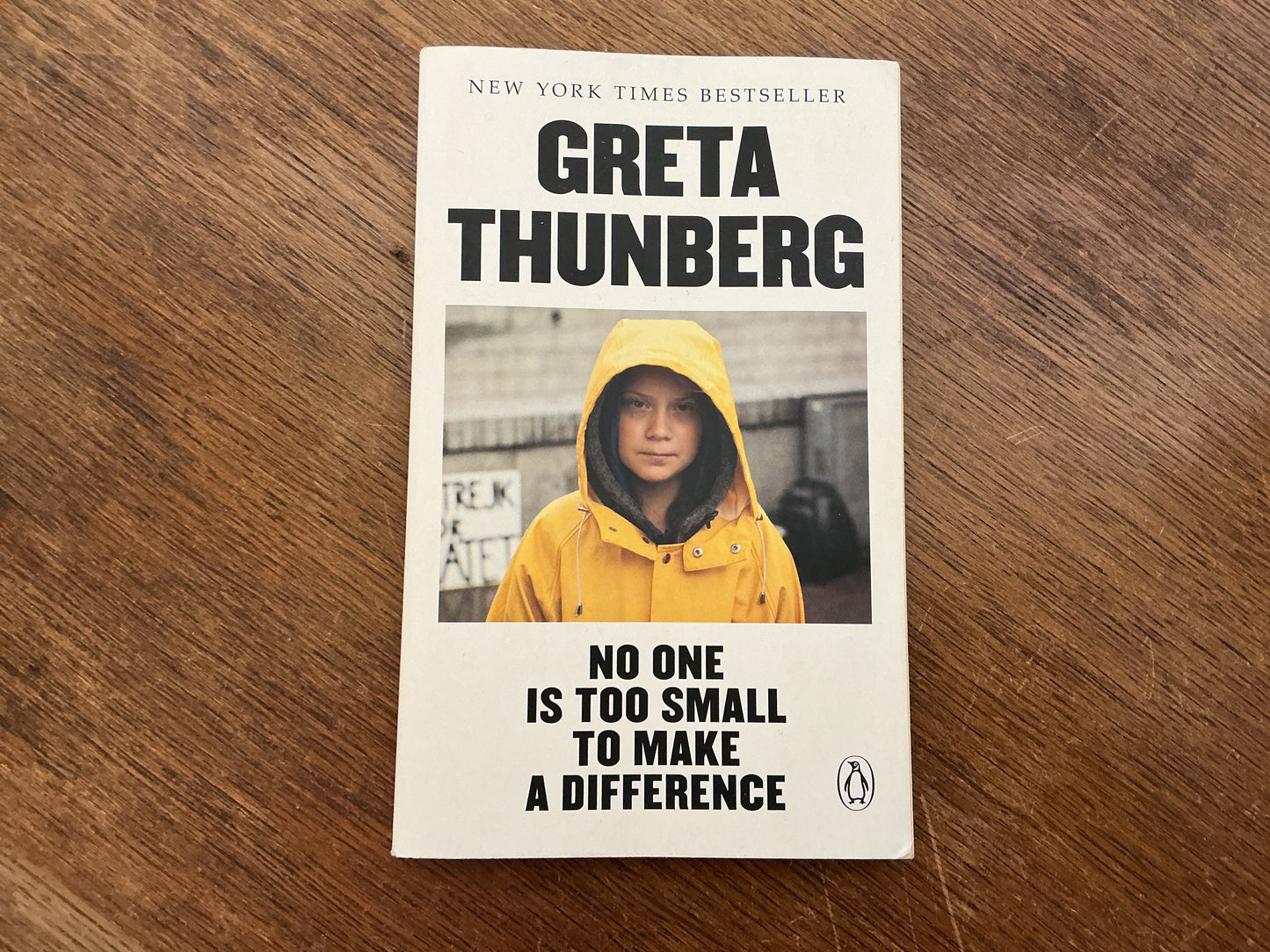 No One Is Too Small to Make a Difference- Greta Thunberg