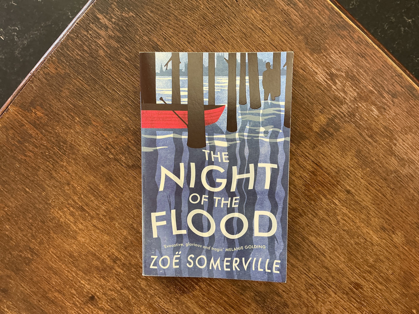 The Night of the Flood by Zoë Somerville