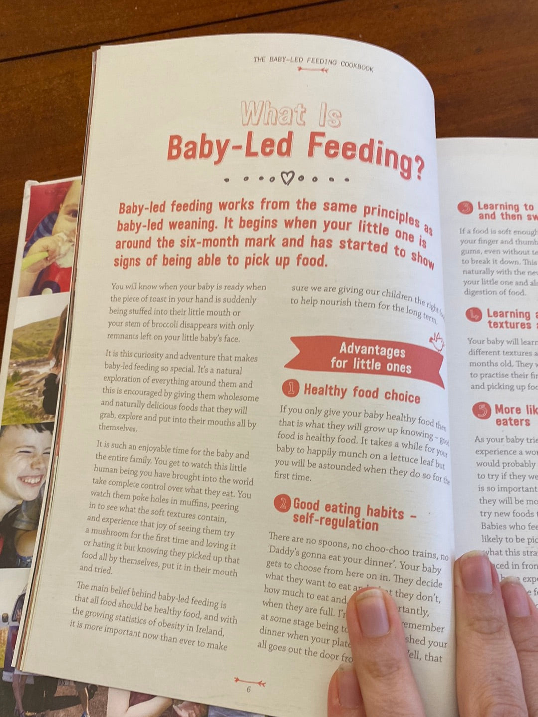 The Baby-Led Feeding Cookbook