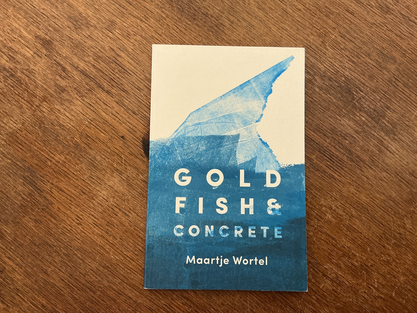Goldfish and Concrete by Maartje Wortel