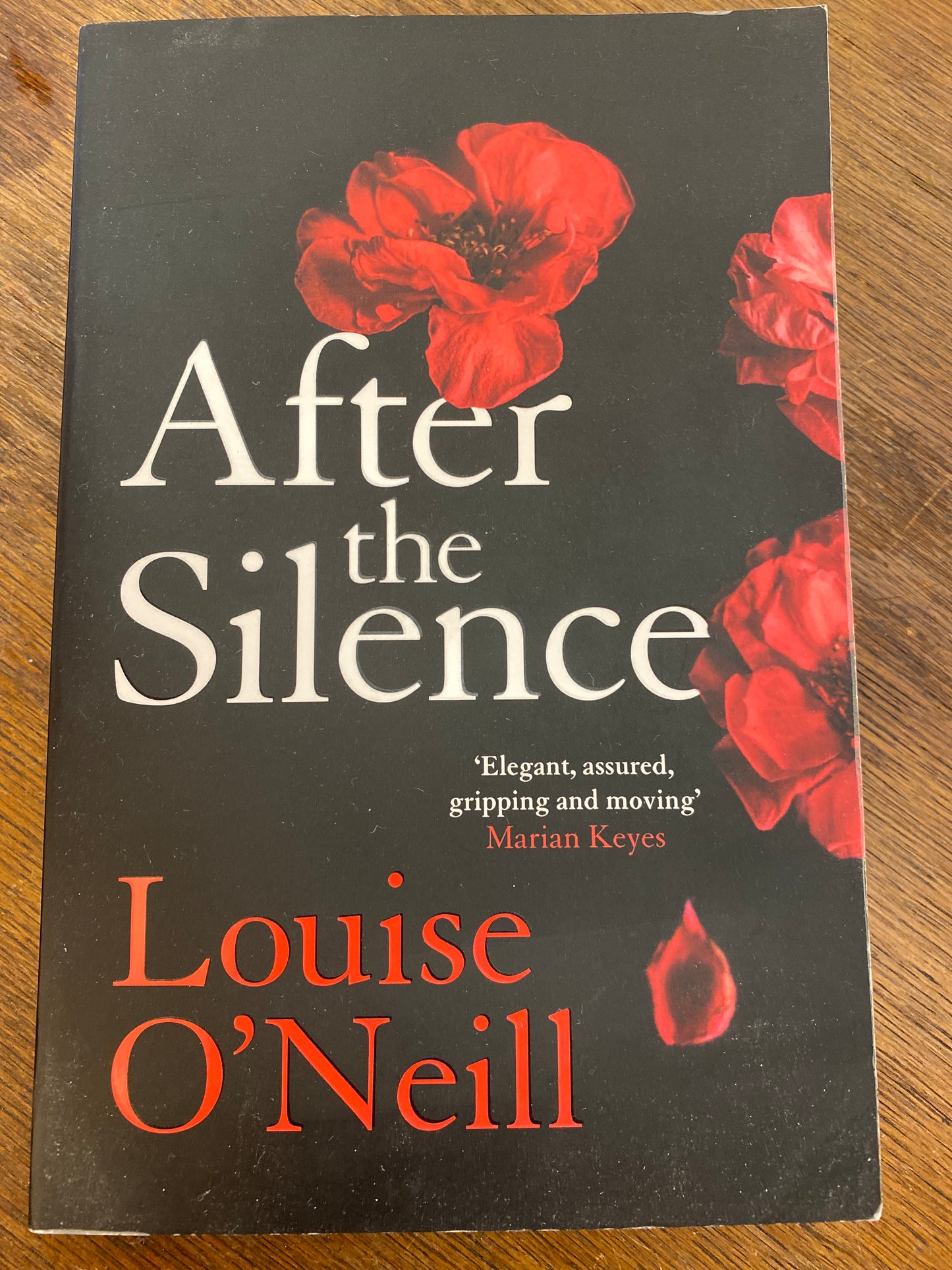 After the Silence by Louise O’Neill