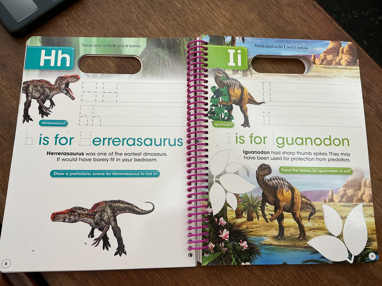 Write and Wipe Dinosaurs