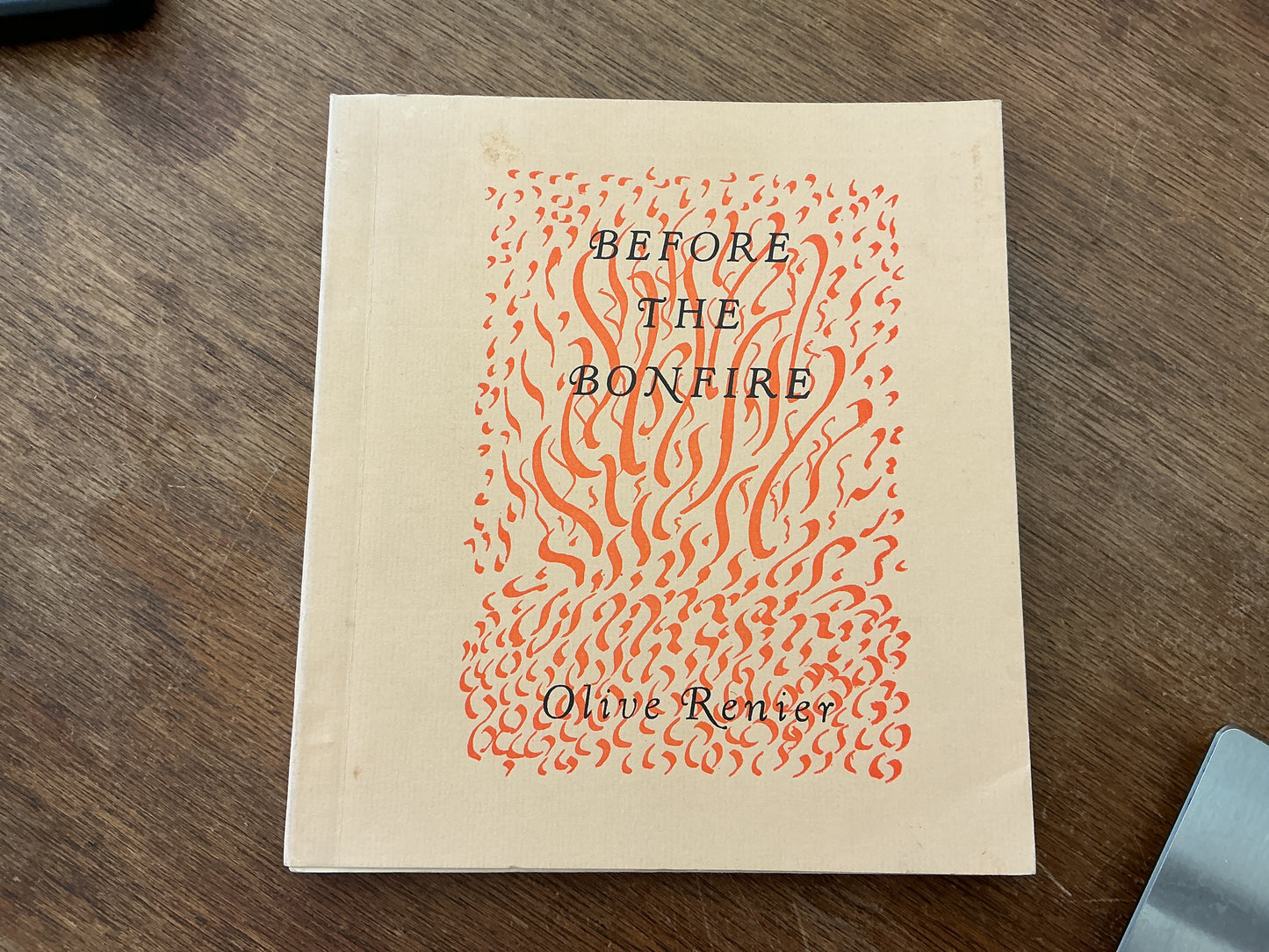 Before the Bonfire by Olive Renier 1984