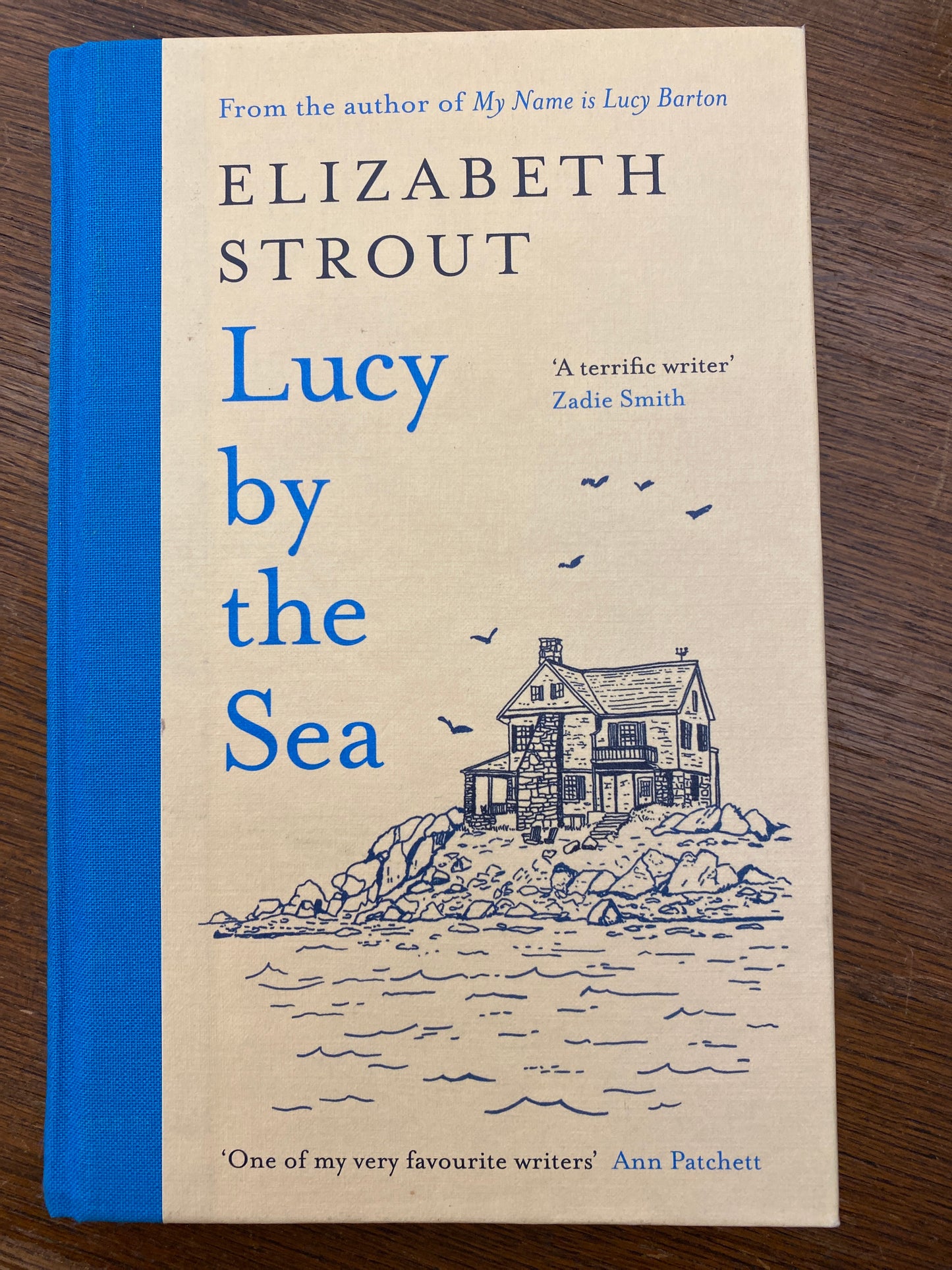 LUCY BY THE SEA by Elizabeth Strout