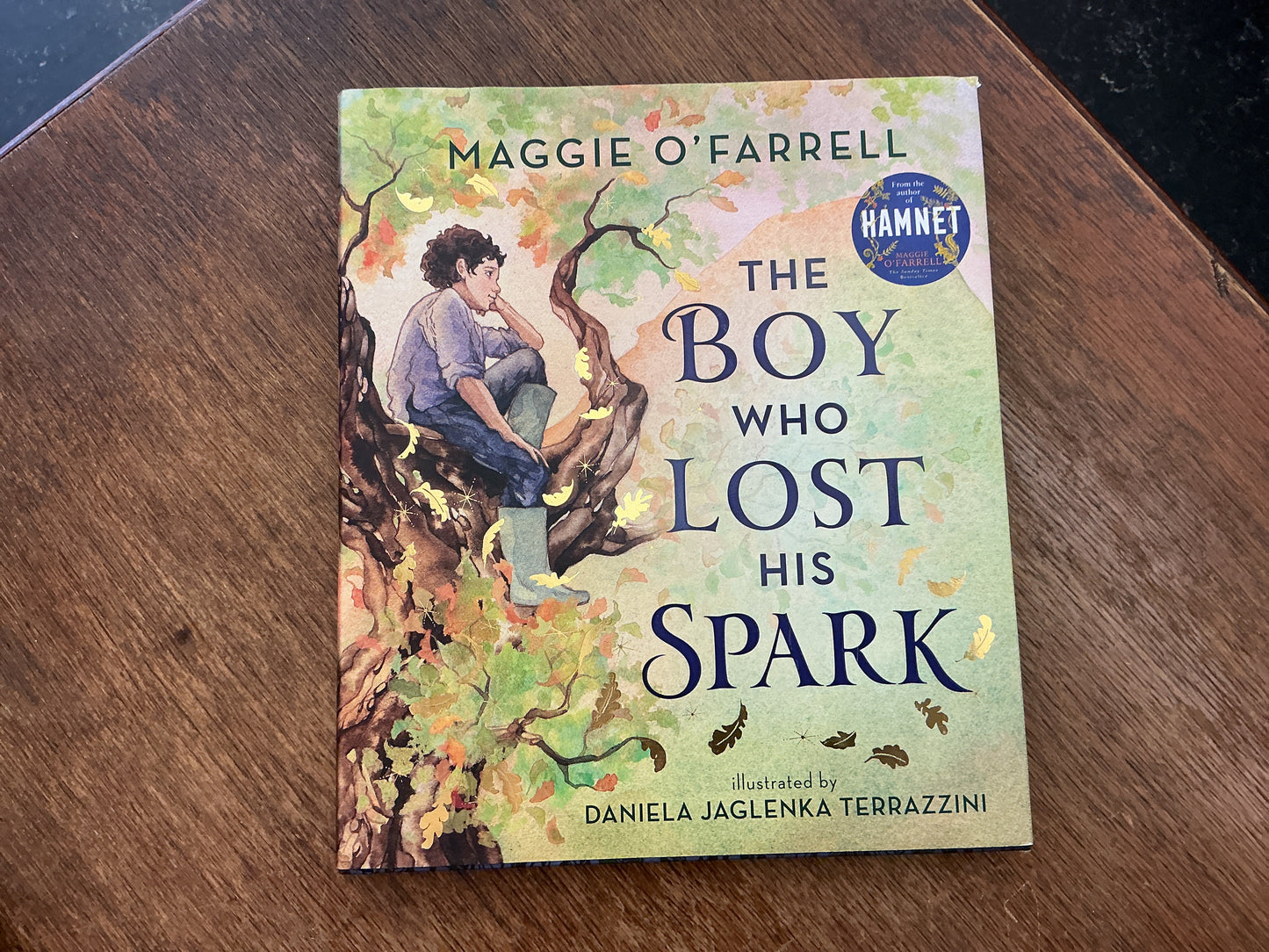 The Boy Who Lost His Spark by Maggie O'Farrell, Daniela Jaglenka Terrazzini