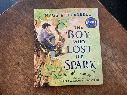 The Boy Who Lost His Spark by Maggie O'Farrell, Daniela Jaglenka Terrazzini