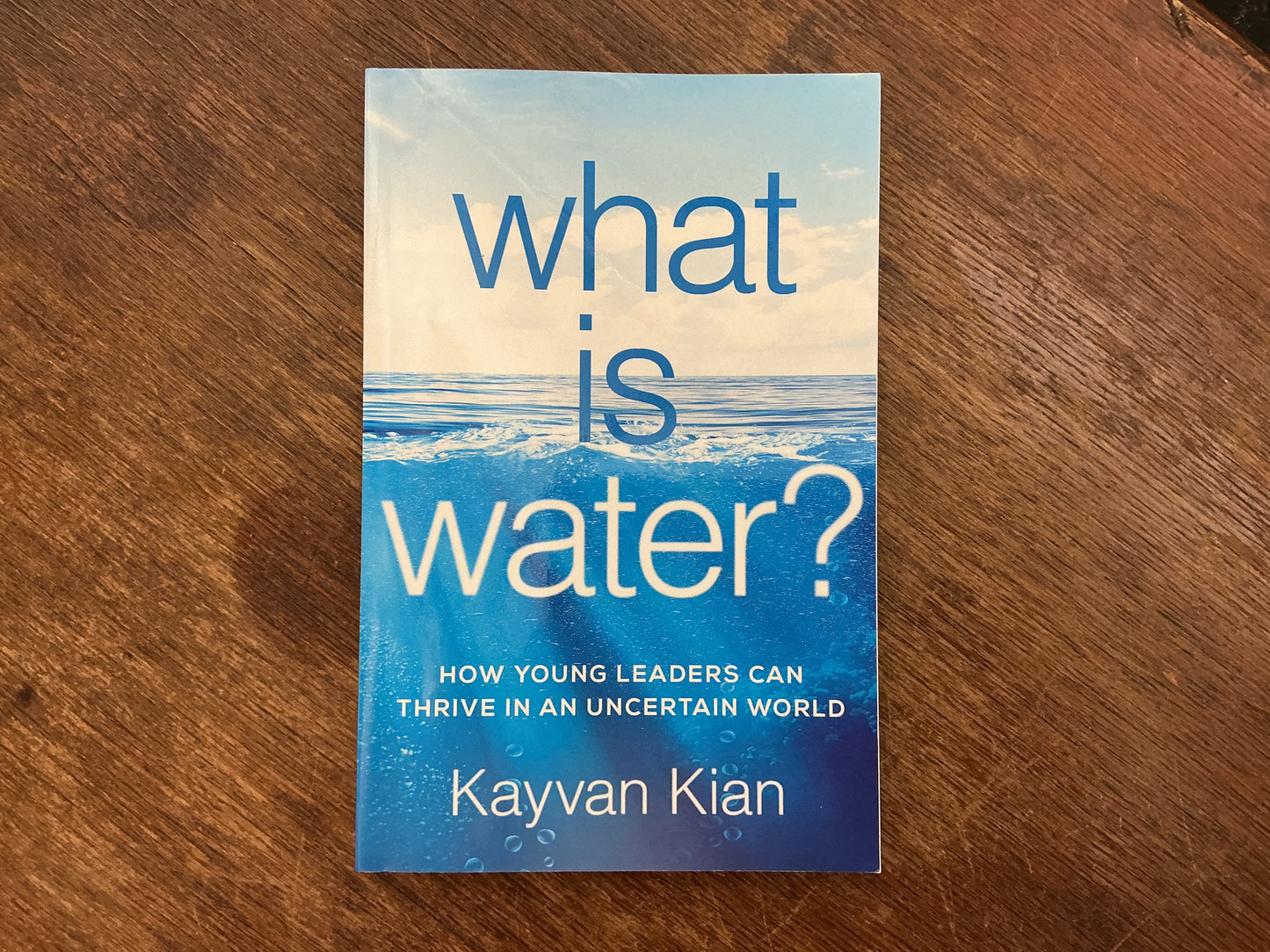 What Is Water?: How Young Leaders Can Thrive in an Uncertain World