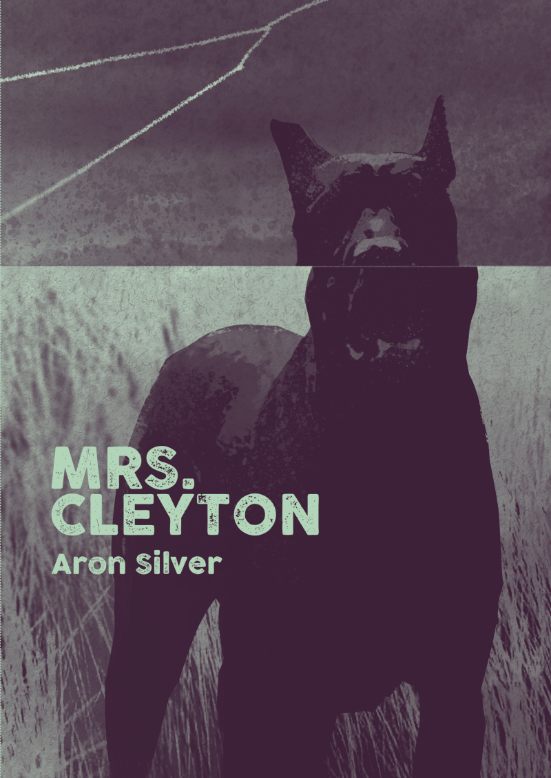 Mrs. Cleyton by Aron Silver (UK printing)