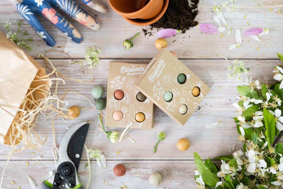 Organic Gift – ‘Wishing You a Colorful Xmas’ - 4 Blossombs