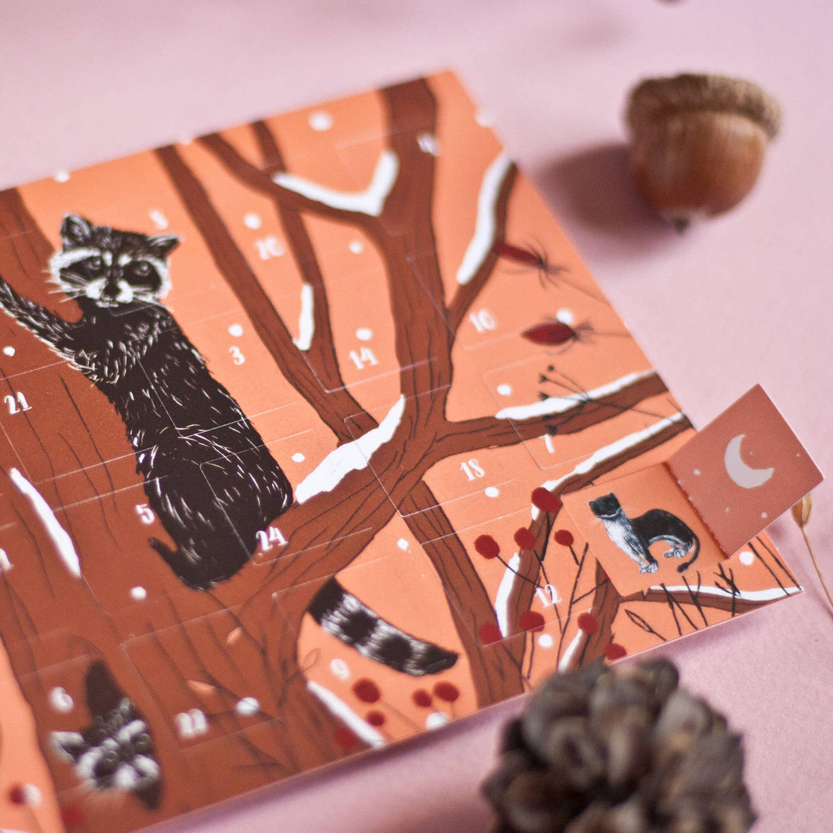 Advent Calendar Postcard Raccoons A6